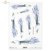 lawenda, lawendy, lawendow, kwiat, ogród, łąka, wiosna, autorka grafiki Maria Kopeć, R920, lavender, lavenders, lavandin, flower, garden, meadow, spring, Lavendel, Lavandin, Blume, Garten, Wiese, Frühling, lavanda, lavandas, lavandín, flor, jardín, prado,